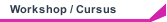 Workshop / Cursus