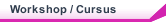 Workshop / Cursus